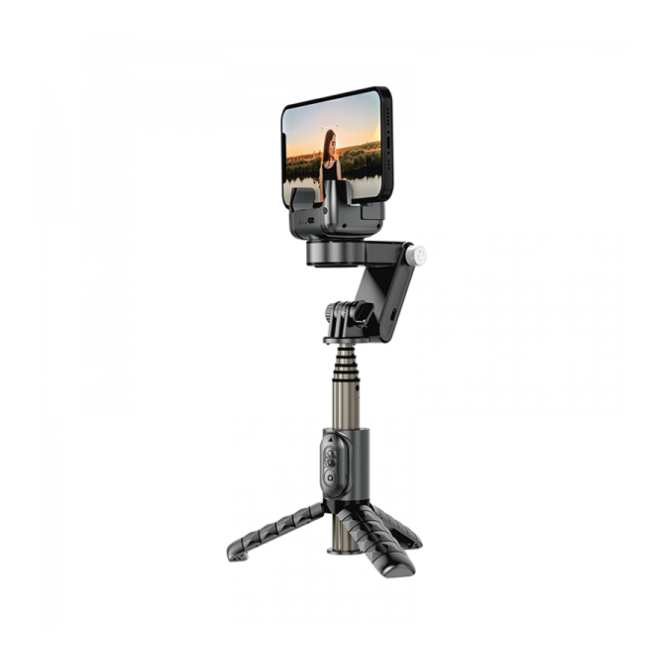 Wiwu WI-SE006 Detachable Tripod Selfie Stick – Black