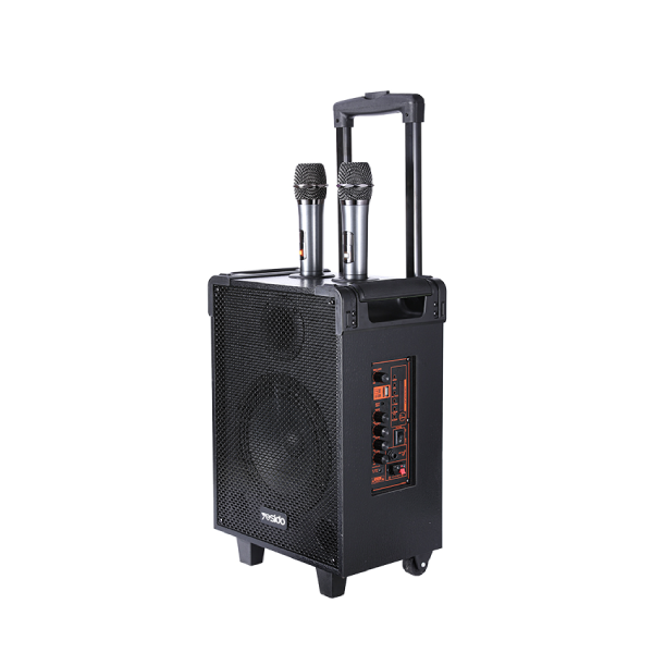 YESIDO YSW-16 Bluetooth Speaker 12 Inch Wireless Speaker with Microphone